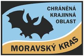 Swami Gyaneshwarpuri